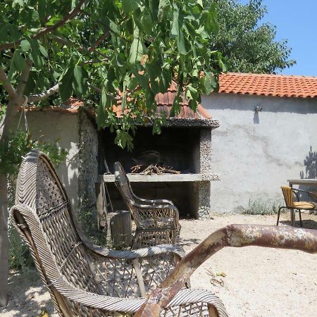 Guesthouse Dila Galovac (Zadar) Exterior photo