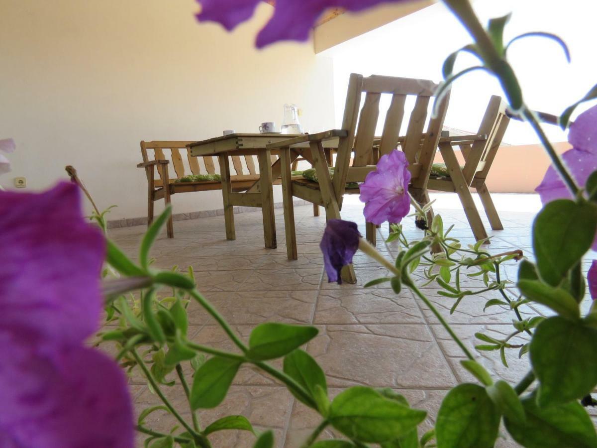 Guesthouse Dila Galovac (Zadar) Exterior photo